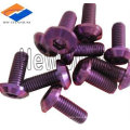 titanium road bicycle screw